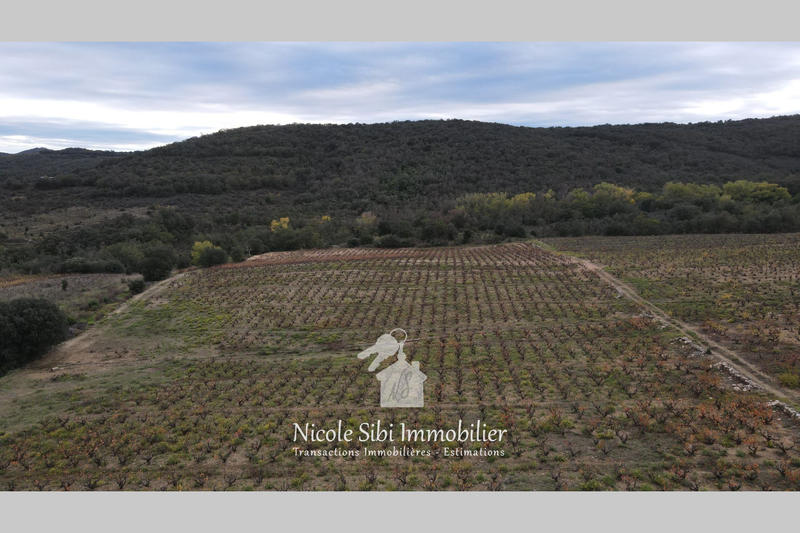 Terrain agricole - 29 300 m²