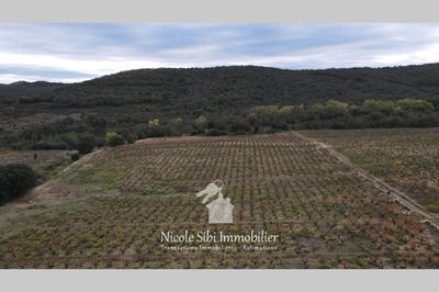 Terrain agricole - 29 300 m²