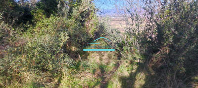 Terrain agricole - 21 172 m²