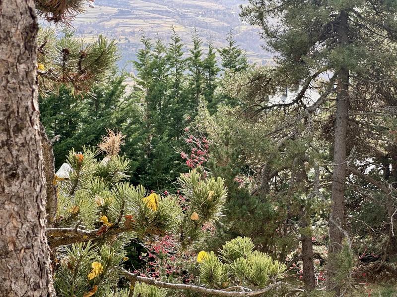 Terrain constructible - 1 572 m²