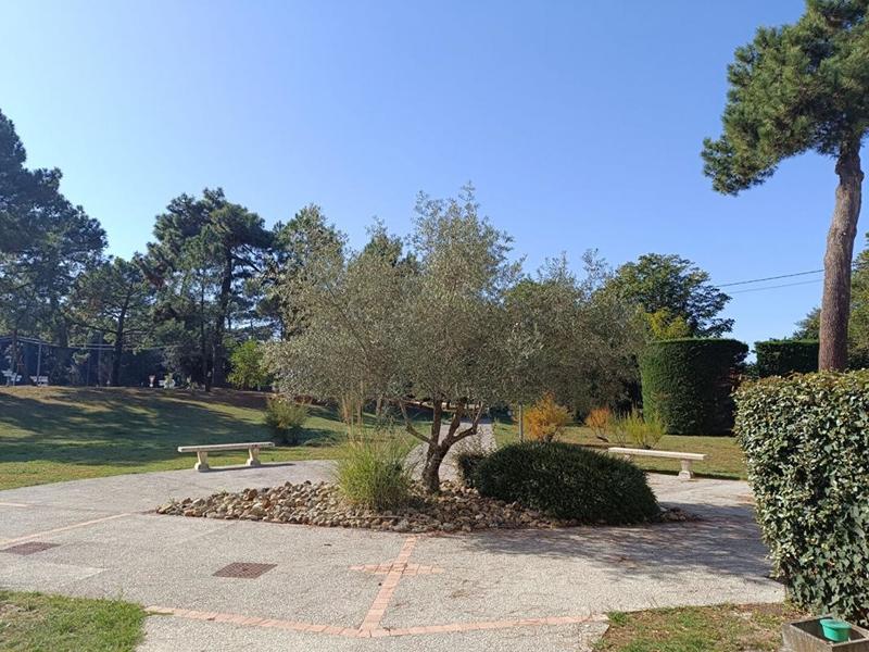 Appartement - 54 m² - 4 pièces