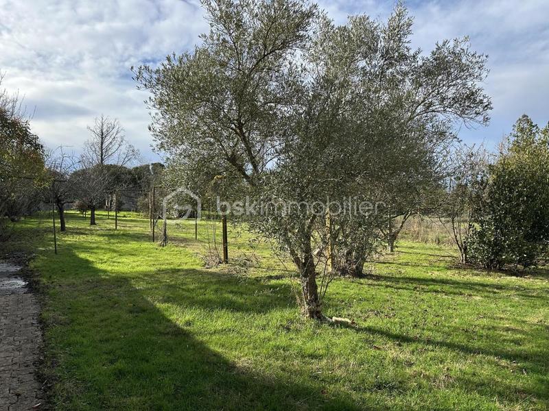 Terrain constructible - 1 150 m²