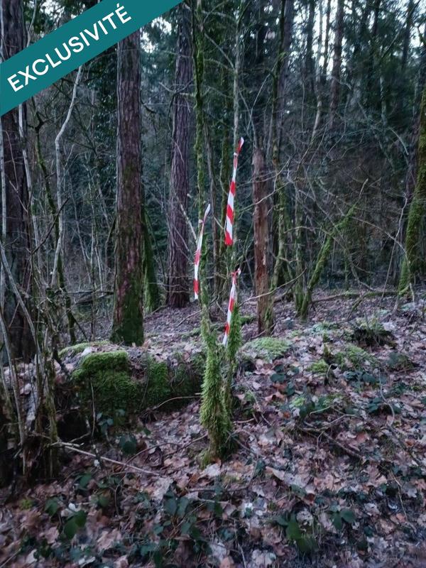 Terrain agricole - 6 175 m²