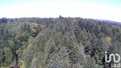 Terrain - 30 452 m²