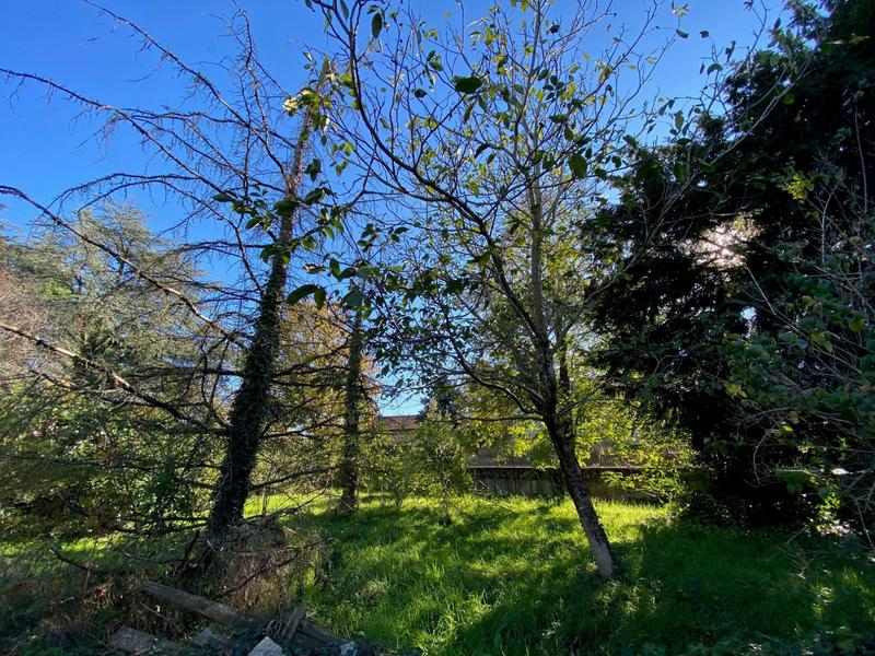 Terrain - 545 m²