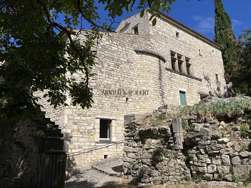 Maison - 450 m² - 10 pièces