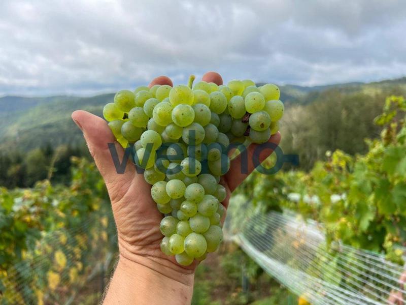 Maison - 150 m² - 3 pièces