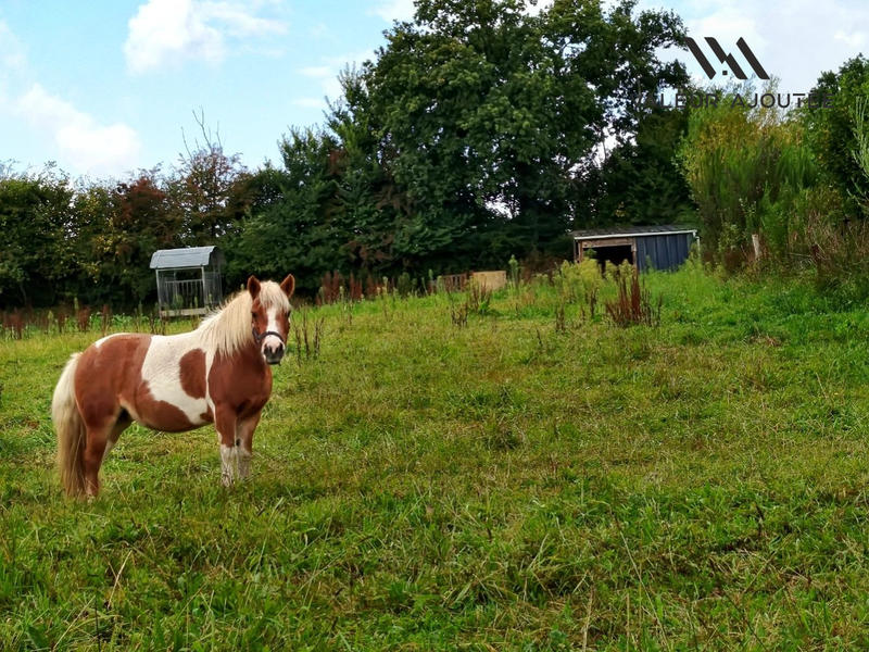 Maison - 138 m² - 7 pièces