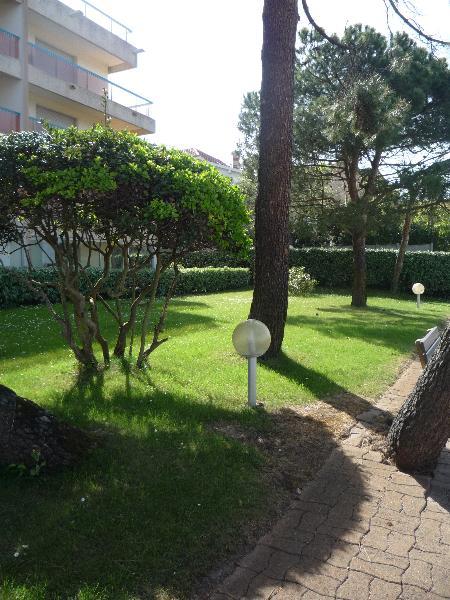 Studio - 30 m² - 1 pièce