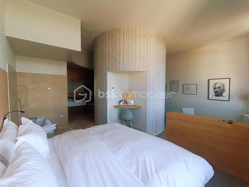 Hôtel particulier - 650 m² - 17 pièces