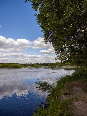 Apéro-conférence : Préserver la biodiversité en bord de Loire