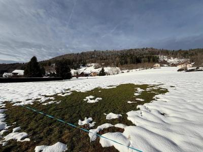 Terrain agricole - 3 678 m²