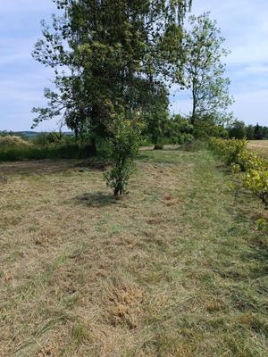Terrain agricole - 1 490 m²