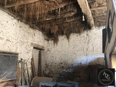 Ferme - 150 m² - 5 pièces
