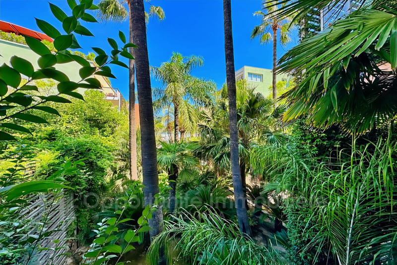 Appartement - 50 m² - 3 pièces