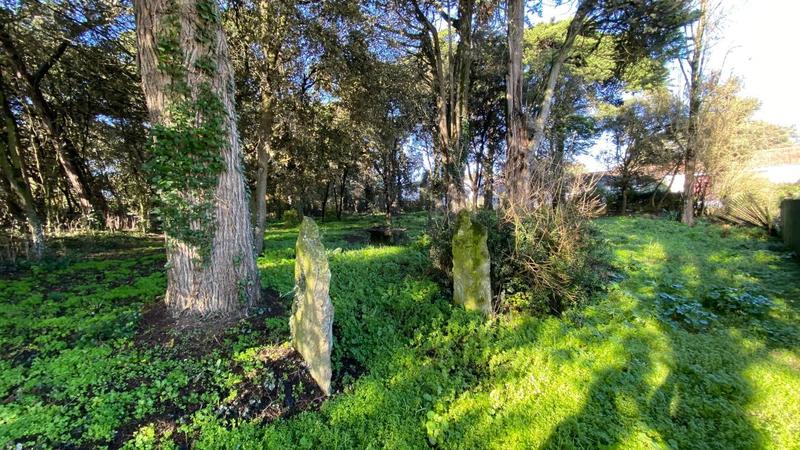 Terrain constructible - 2 000 m²