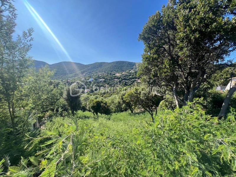 Terrain constructible - 1 198 m²