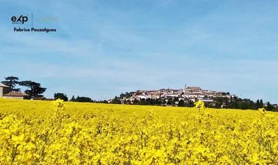 Maison - 715 m² - 29 pièces