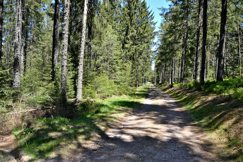 Balade ludique - la tête des Faux
