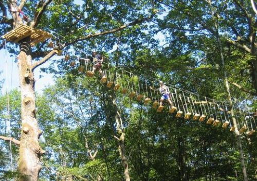 Acrogivry l'Aventure en Forêt