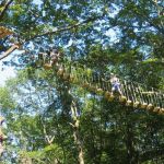 Acrogivry l'Aventure en Forêt