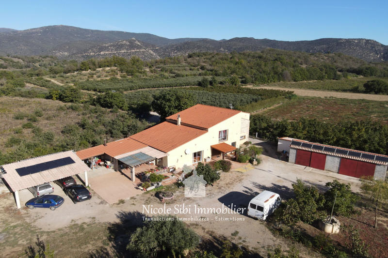 Mas - 290 m² - 7 pièces