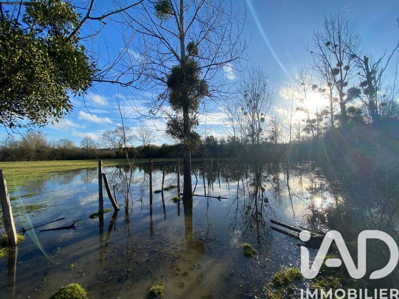 Maison - 146 m² - 7 pièces