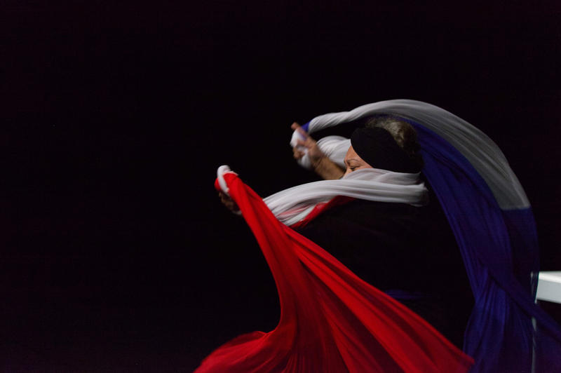 Spectacle de Danse - Histoire(s) Décoloniale(s) - Portraits croisés-- Betty Tchomanga, Gang