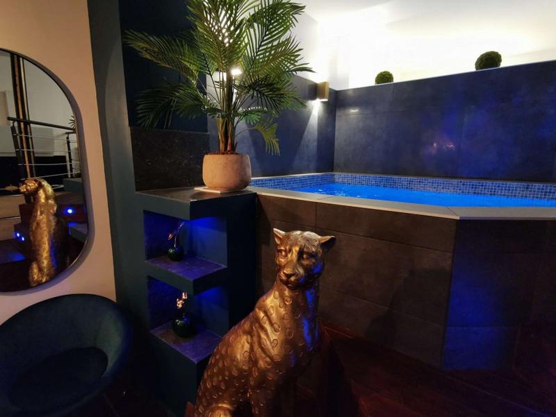 Appartement - 54 m² - 1 pièce