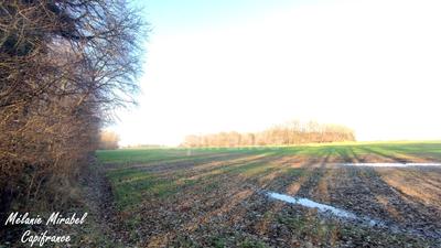 Terrain de loisirs - 3 640 m²