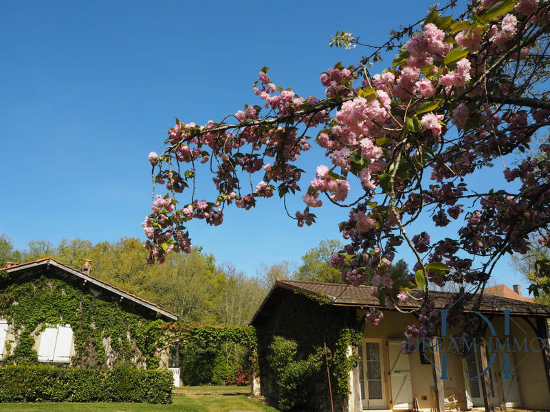 Maison - 420 m² - 11 pièces