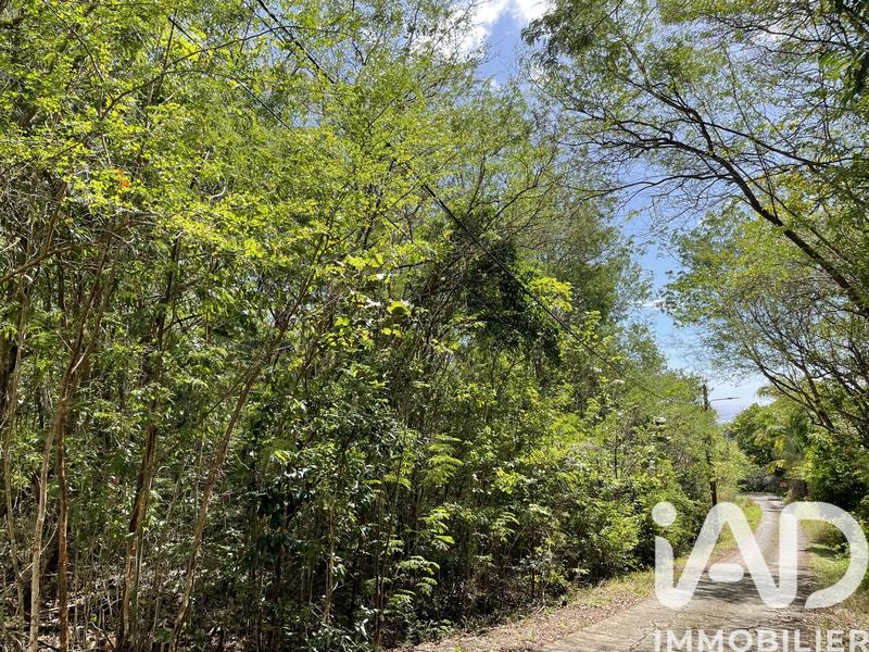 Terrain - 10 682 m²