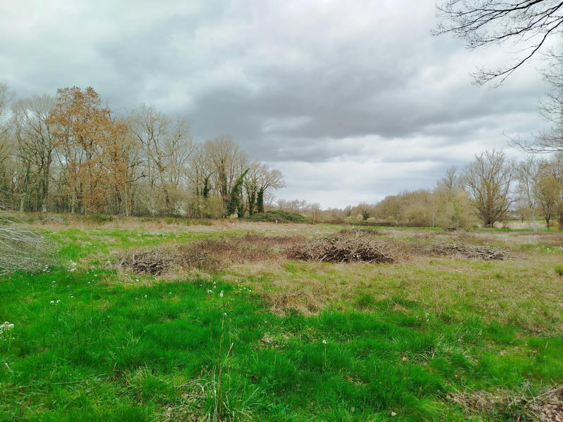 Terrain agricole - 9 170 m²