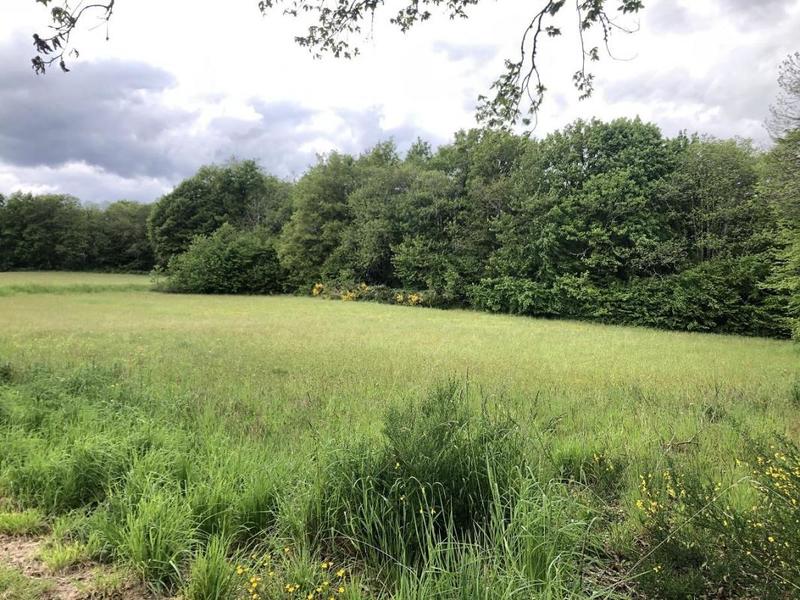 Terrain constructible - 6 990 m²