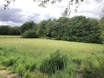 Terrain constructible - 6 990 m²