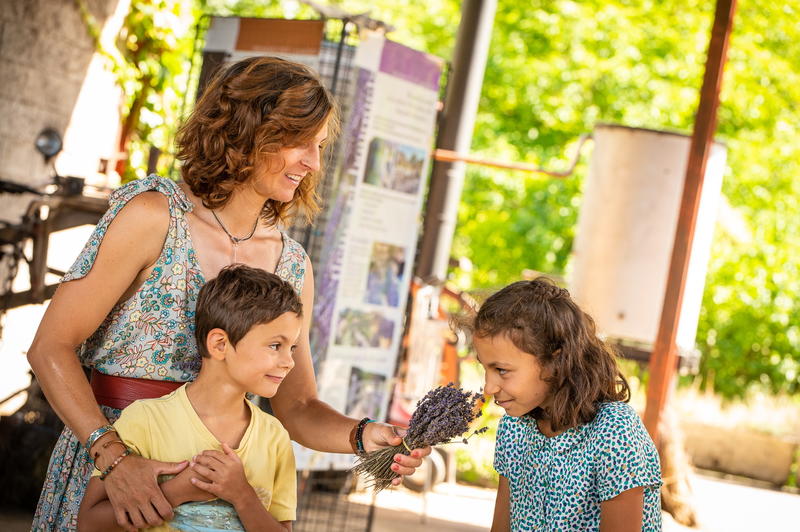 Visite guidée d’une distillerie d’huile essentielle dans la Drôme