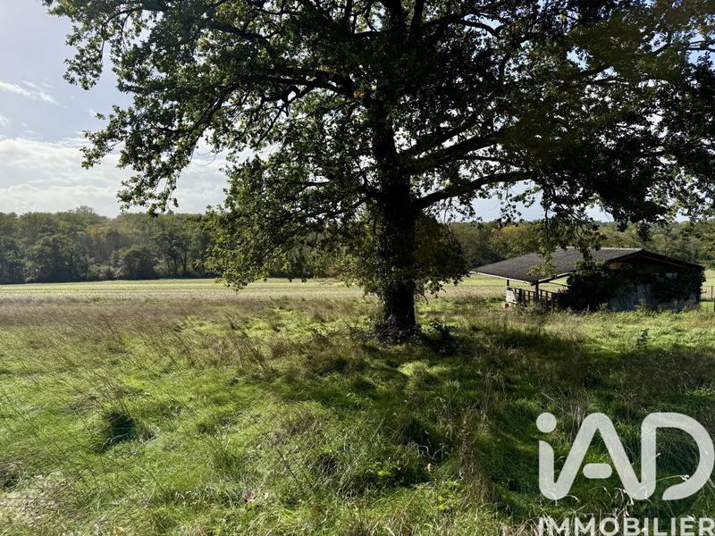 Terrain - 12 710 m²