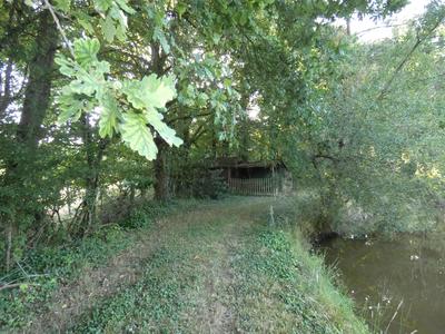 Terrain de loisirs - 11 460 m²