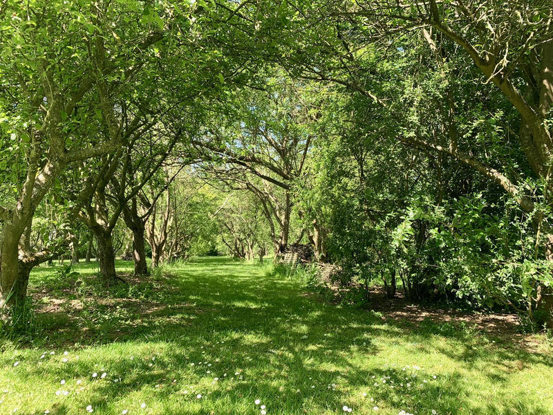 Maison - 195 m² - 7 pièces