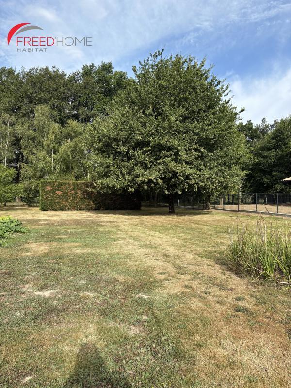 Terrain constructible - 1 000 m²