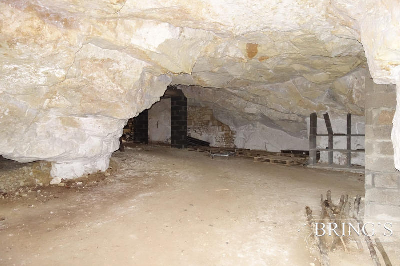 Mas - 300 m² - 5 pièces