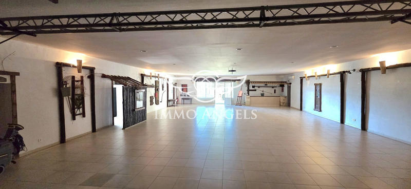 Mas - 240 m² - 13 pièces