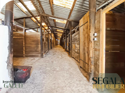 Maison - 275 m² - 5 pièces