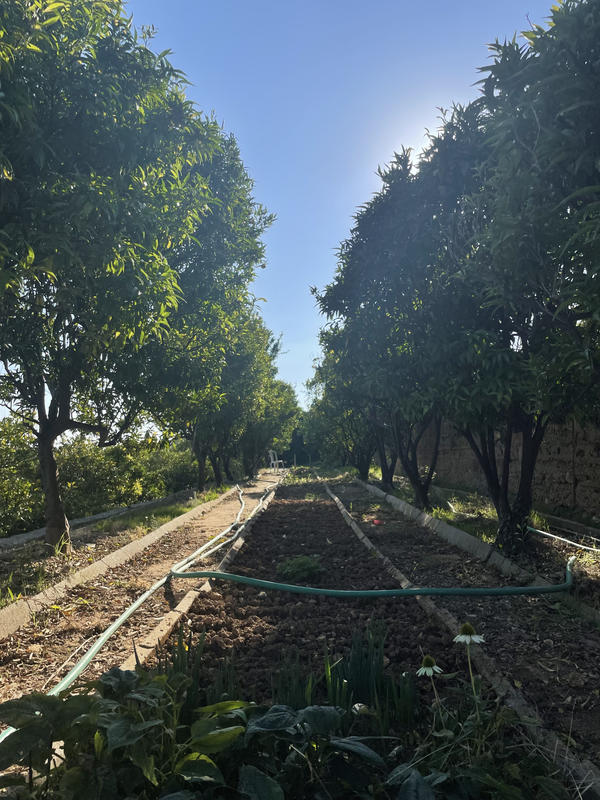 Maison - 158 m² - 8 pièces