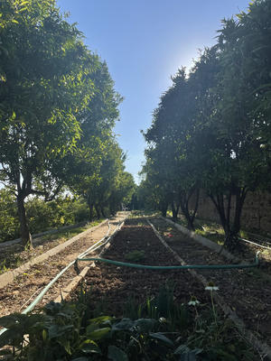 Maison - 158 m² - 8 pièces