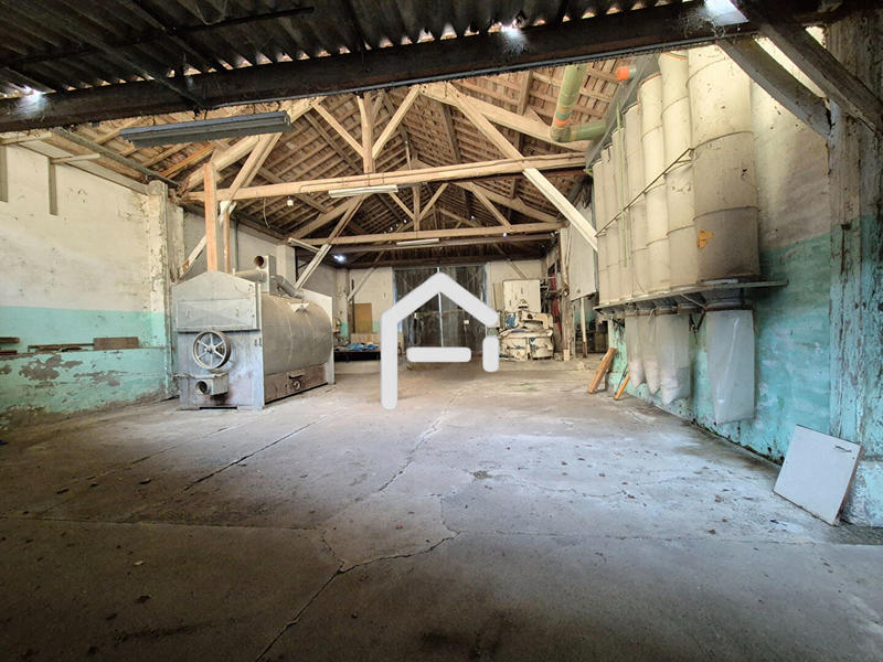 Maison de maîtres - 299 m² - 7 pièces