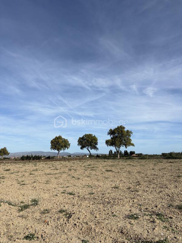 Terrain agricole - 15 000 m²