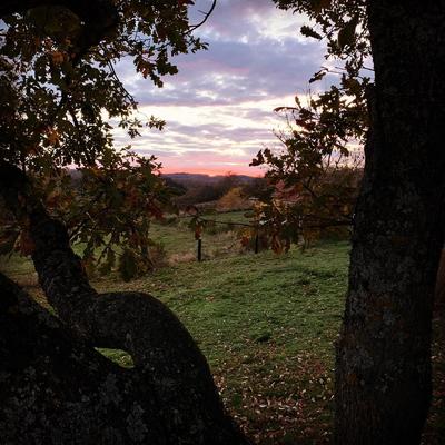 Gite Rêves de Bois - Puy de Dôme 63, Auvergne