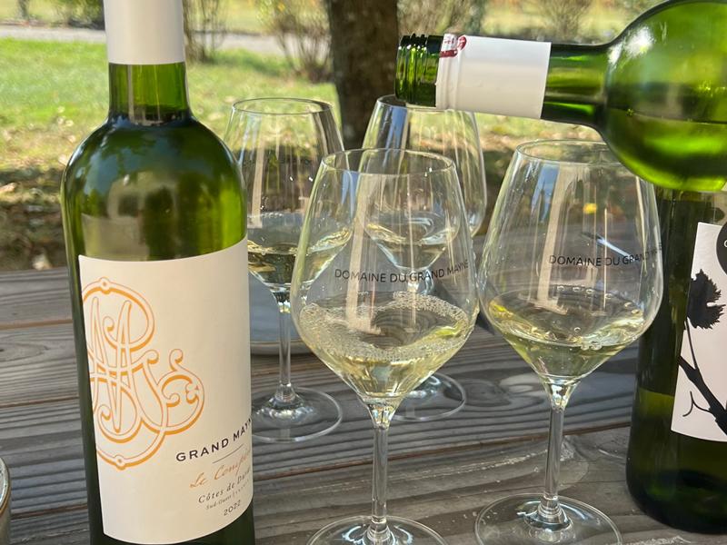 Tour du domaine et dégustation au Domaine du Grand Mayne