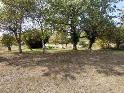 Maison - 40 m² - 2 pièces